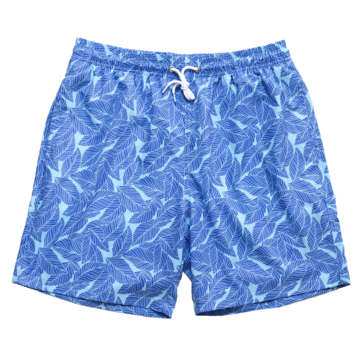 Coconut Cottage Men’s Trunks